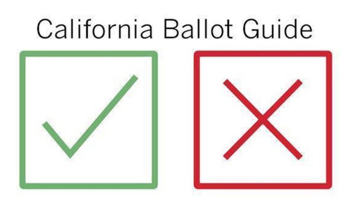 California voting guide