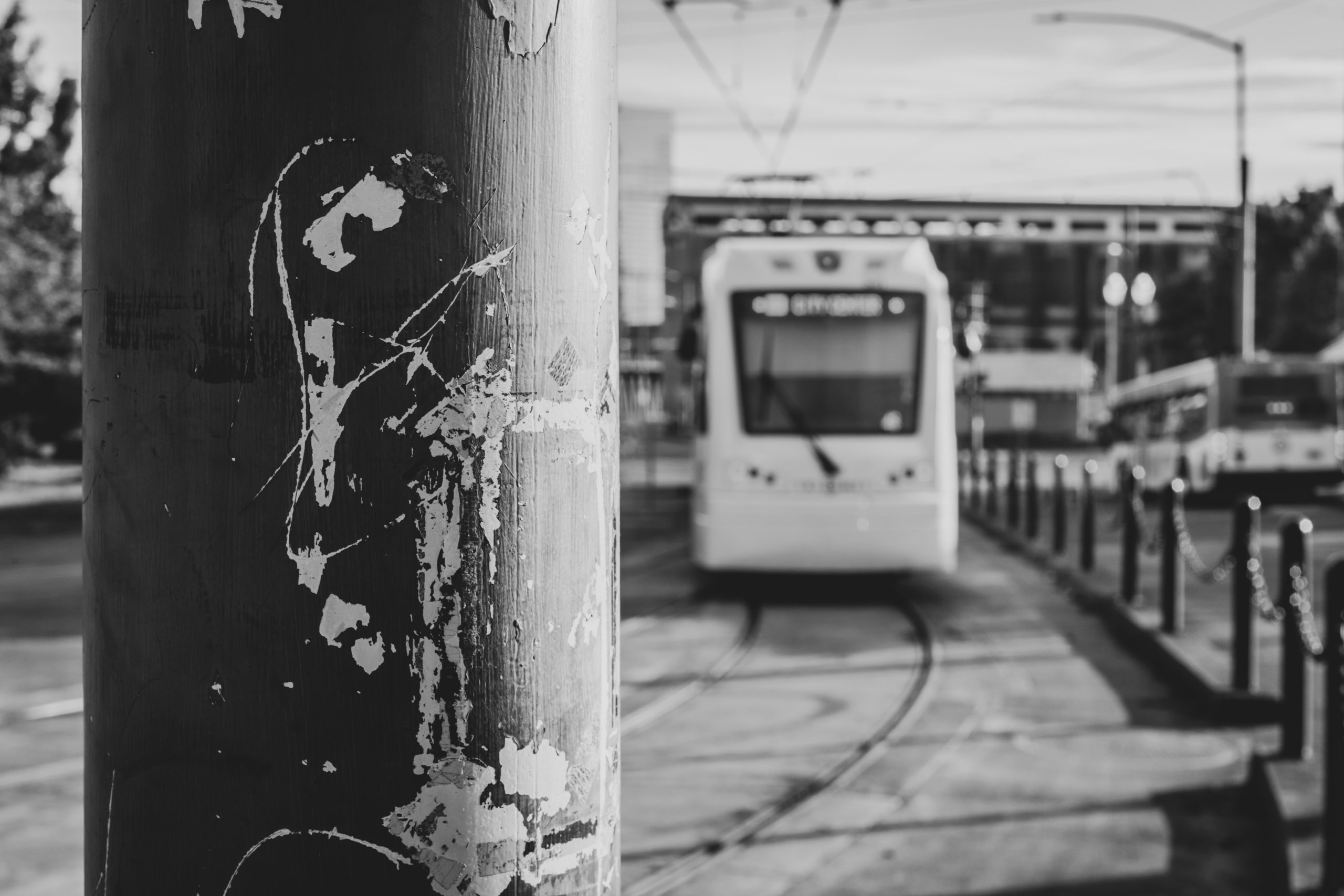 sean-benesh-lleLN018tTU-unsplash